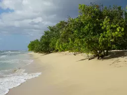 Les environs