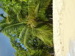 Les environs
